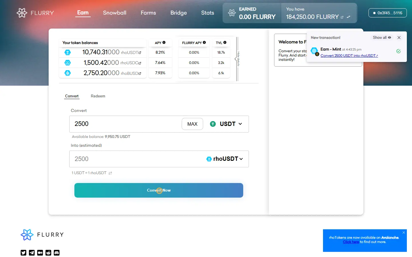 Flurry dApp confirming a simulated conversion of USDT into rhoUSDT